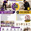 🏠 Deep Cleaning & Pest Control In Thadiq | Complete Home Care ✨