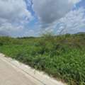 THB 5000000,  6 BR,  400 Sq. Feet,  Land In A Good Location, Khlong Song Subdistrict, Khlong Luang District. Pathum Thani