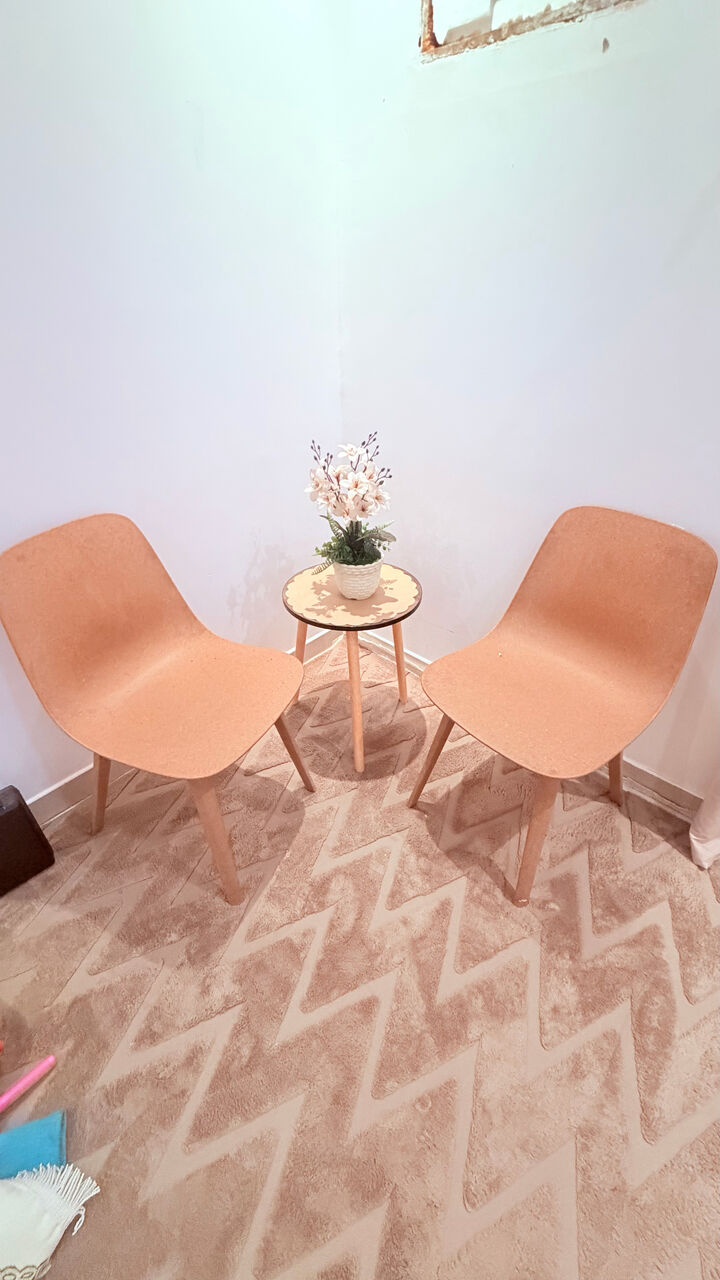 Riyadh, Household Items, SAR 250,  Modern 2-Piece Chair Set.
