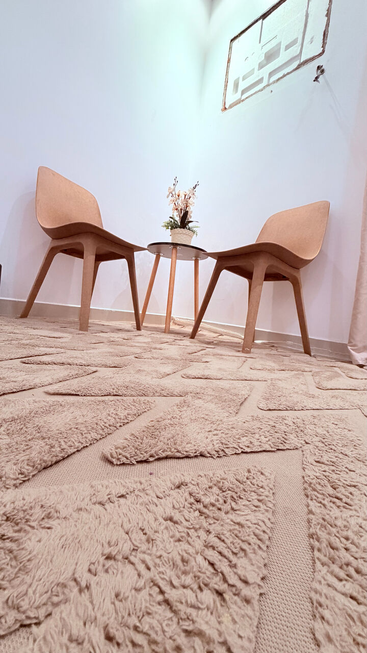Riyadh, Household Items, SAR 250,  Modern 2-Piece Chair Set.