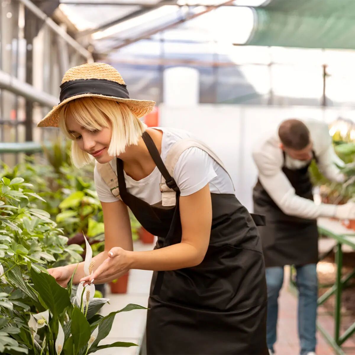 Auckland, Farm/Garden, Professional Property Maintenance Services In Auckland | All Season Property Care