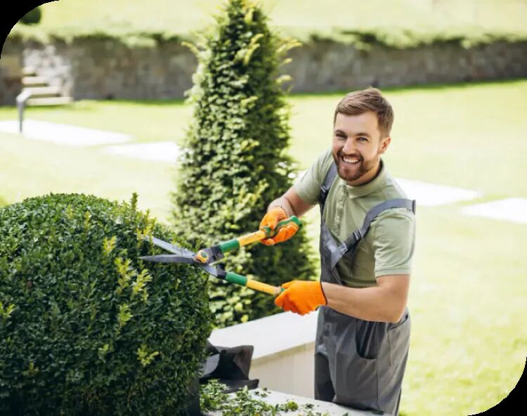 Auckland, Farm/Garden, Professional Property Maintenance Services In Auckland | All Season Property Care