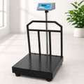 Heavy Duty Platform Scale In Madurai