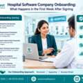 In-House IT Team Or Managed Vendor? We Help You Decide