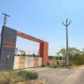 INR 13499,  270 Sq. Yard,  Dtcp & Rera Approved Open Plots For Sale Near Nandiwanaparthy
