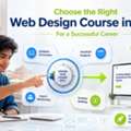 Choose The Right Web Design Course In Jaipur For A Successful Career