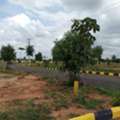 INR 13499,  250 Sq. Yard,  Final Lp Approved Open Plots For Sale Near Future City Fcda Office