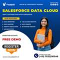 Master Salesforce Data Cloud Classes | Hands-On Learning