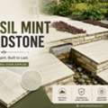 Fossil Mint Sandstone Supplier From India For UK & Europe