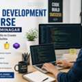 Professional Web Development Training For Beginners In Laxminagar