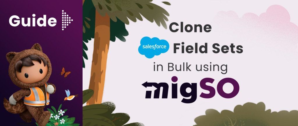 New Delhi, General, Clone Salesforce Fields Easily With MigSO &ndash; Native Salesforce Metadata Management