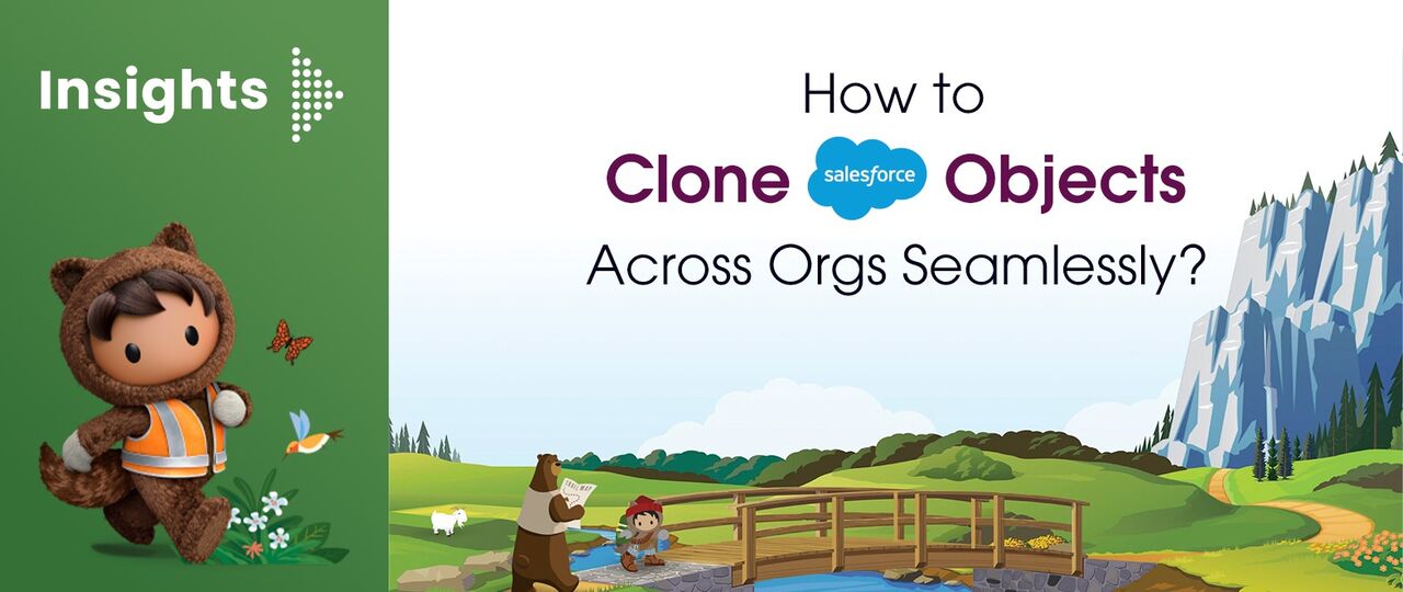 New Delhi, Business, Clone Salesforce Objects- MigSO