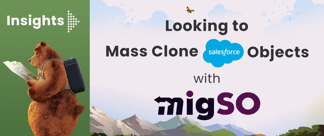 New Delhi, Business, Clone Salesforce Objects- MigSO