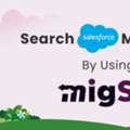 Salesforce Metadata Migration App | Migrate Metadata One Org To Another