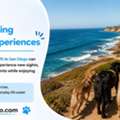 Dog Adventure Pack Walks For Happy And Confident Dogs