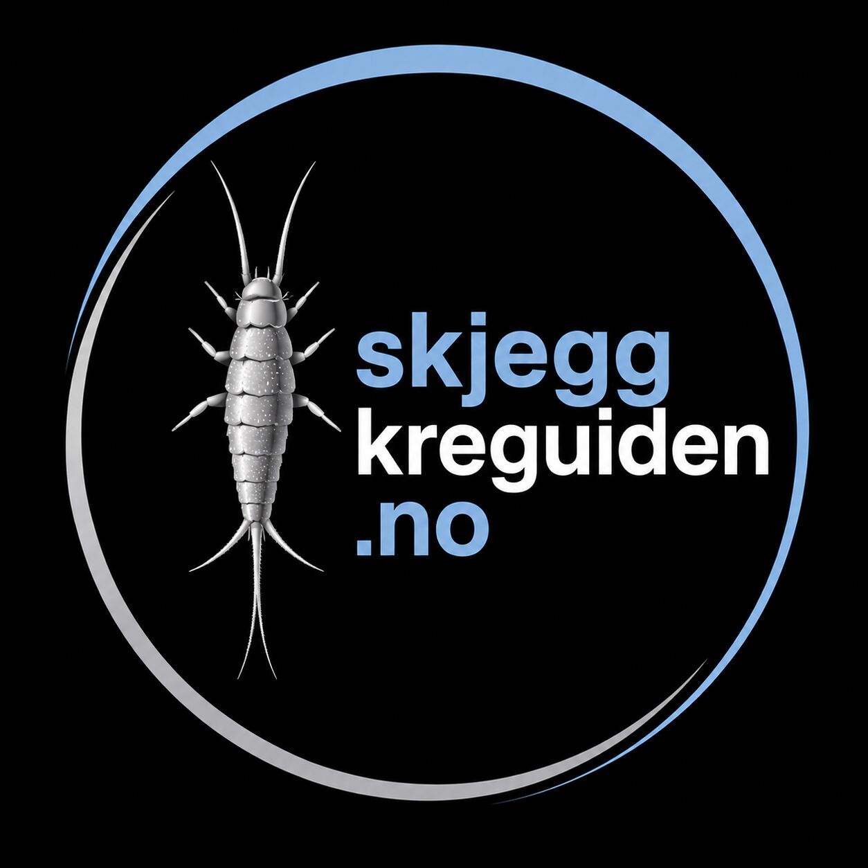 Oslo, Business, Skjeggkreguiden
