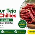 Guntur Teja Red Chilli Exporter In India | GLEE IMPEX