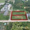 THB 21750000,  6 BR,  1450 Sq. Feet,  Urgently Selling Beautiful Land, Good Location In Soi Laem Thong Technology College, Bang