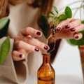 Manufacturers Of Aromatic Chemicals &ndash; Quality Products For Global Industries