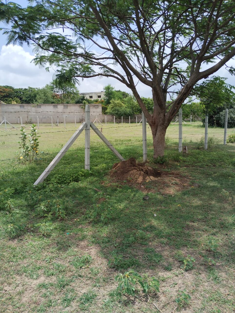 Hyderabad, Residential Plots, INR 15,  130 Sq. Yard,  Open Plot For Sale At Chevella, Hyderabad, Telengana