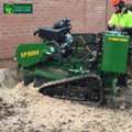 Professional Tree Stump Removal & Grinding Melbourne