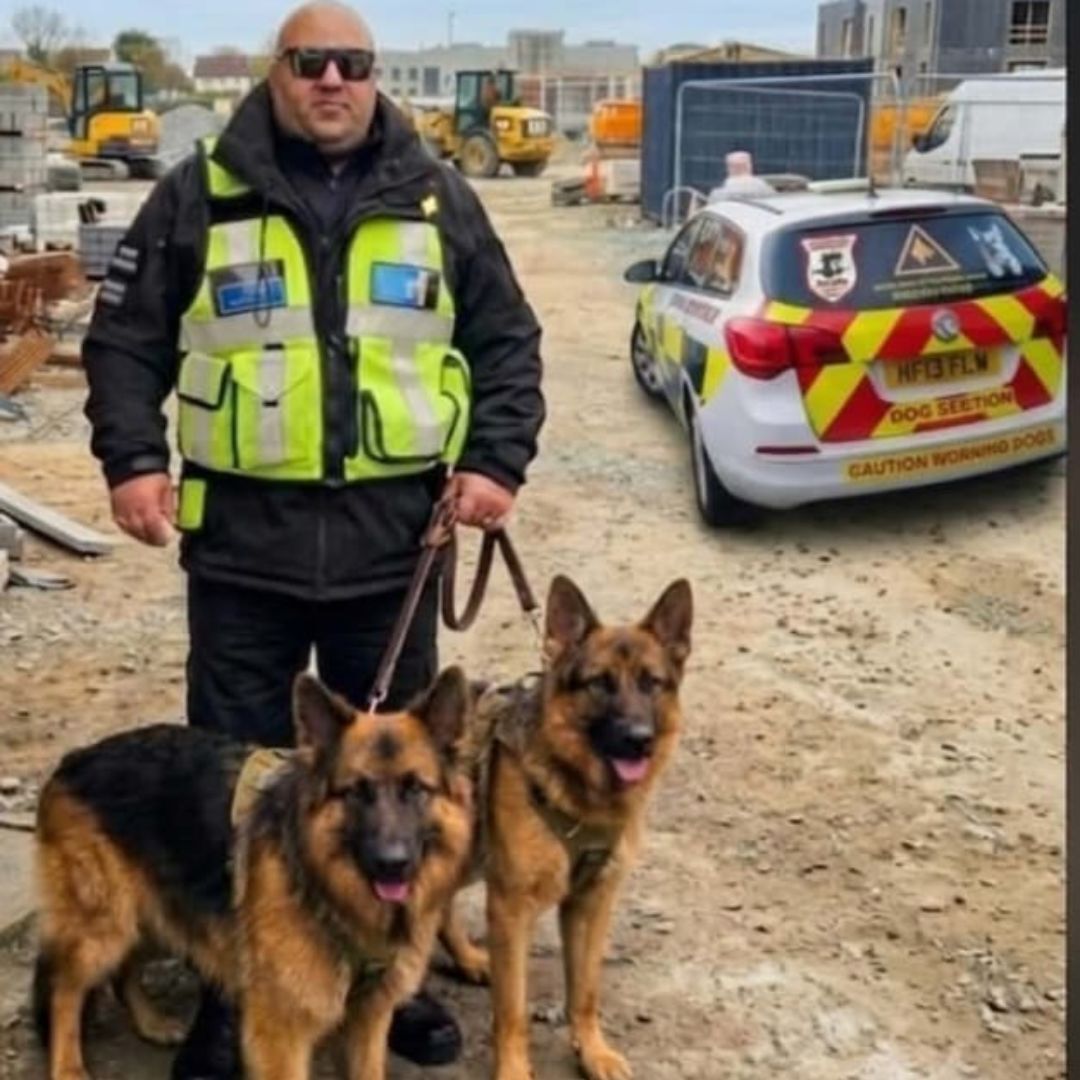London, Security, Need A Reliable Security Dog Handler For Your Site?