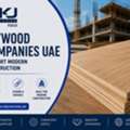 Premium Plywood Applications For Dubai Homes And Luxury Interiors