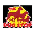 Dog Daycare In Kent, WA | Safe & Fun Dog Daycare Services
