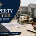 Do You Need A Property Lawyer For Tis-Hazari Court Property Disputes?