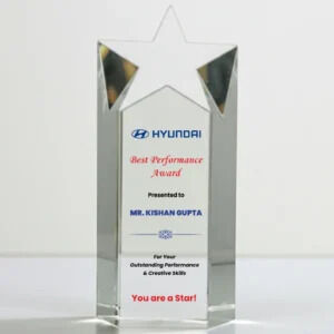 New Delhi, Businesses For Sale, Bulk Customized Trophies For Events And Functions