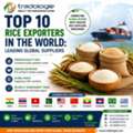 INR 25,  Top 10 Rice Exporters In The World: Leading Global Suppliers