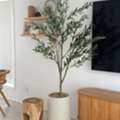 Artificial Plants Adelaide