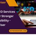Drupal SEO Services In USA For Stronger Online Visibility - Keywordriser