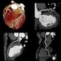 Cardiologist Wallan