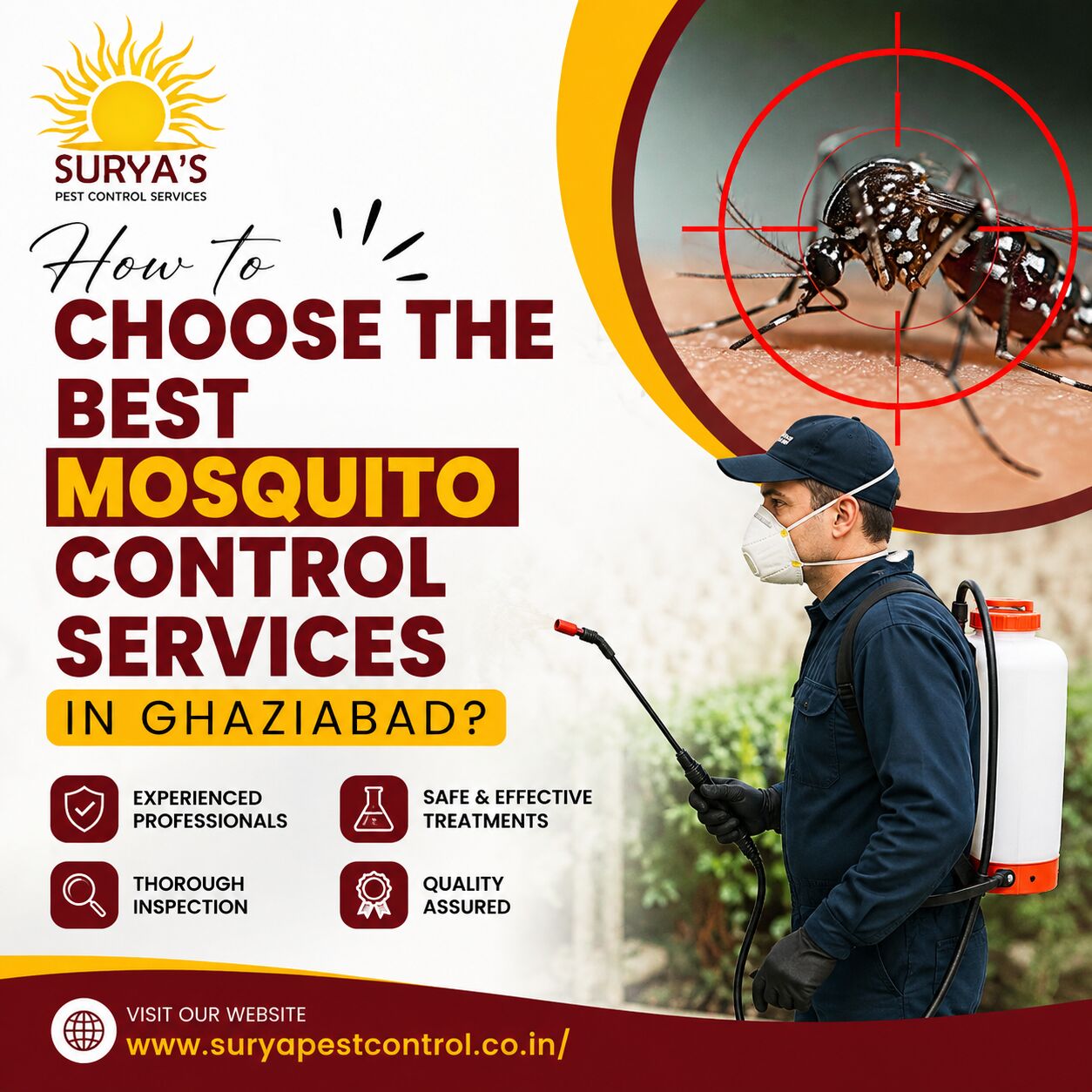 Mumbai, Health, How Professional Mosquito Control Services Work To Eliminate Mosquitoes