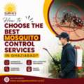 How Professional Mosquito Control Services Work To Eliminate Mosquitoes