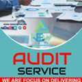 Audit Analysis