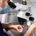 Specialized IVF Abu Dhabi For Personalized Fertility Care