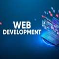 Professional Web Development Services Miami For Growing Businesses