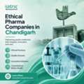Quality-Focused Ethical Pharma Solutions In Chandigarh