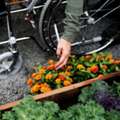 Home Maintenance Tasks Too Hard? Get Reliable NDIS Home Maintenance Services