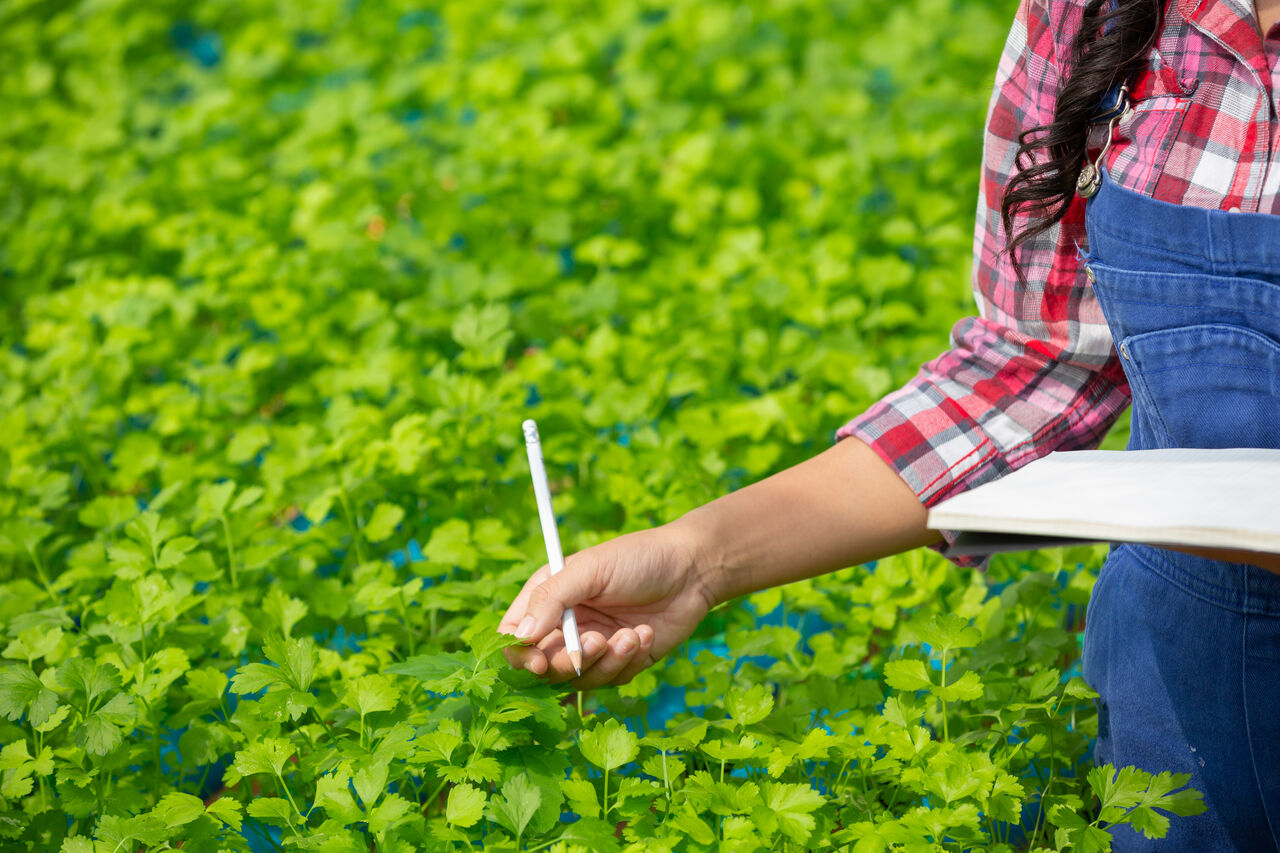 Mumbai, Education, Crop Protection Education At Kumaraguru Institute Of Agriculture