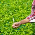 Crop Protection Education At Kumaraguru Institute Of Agriculture