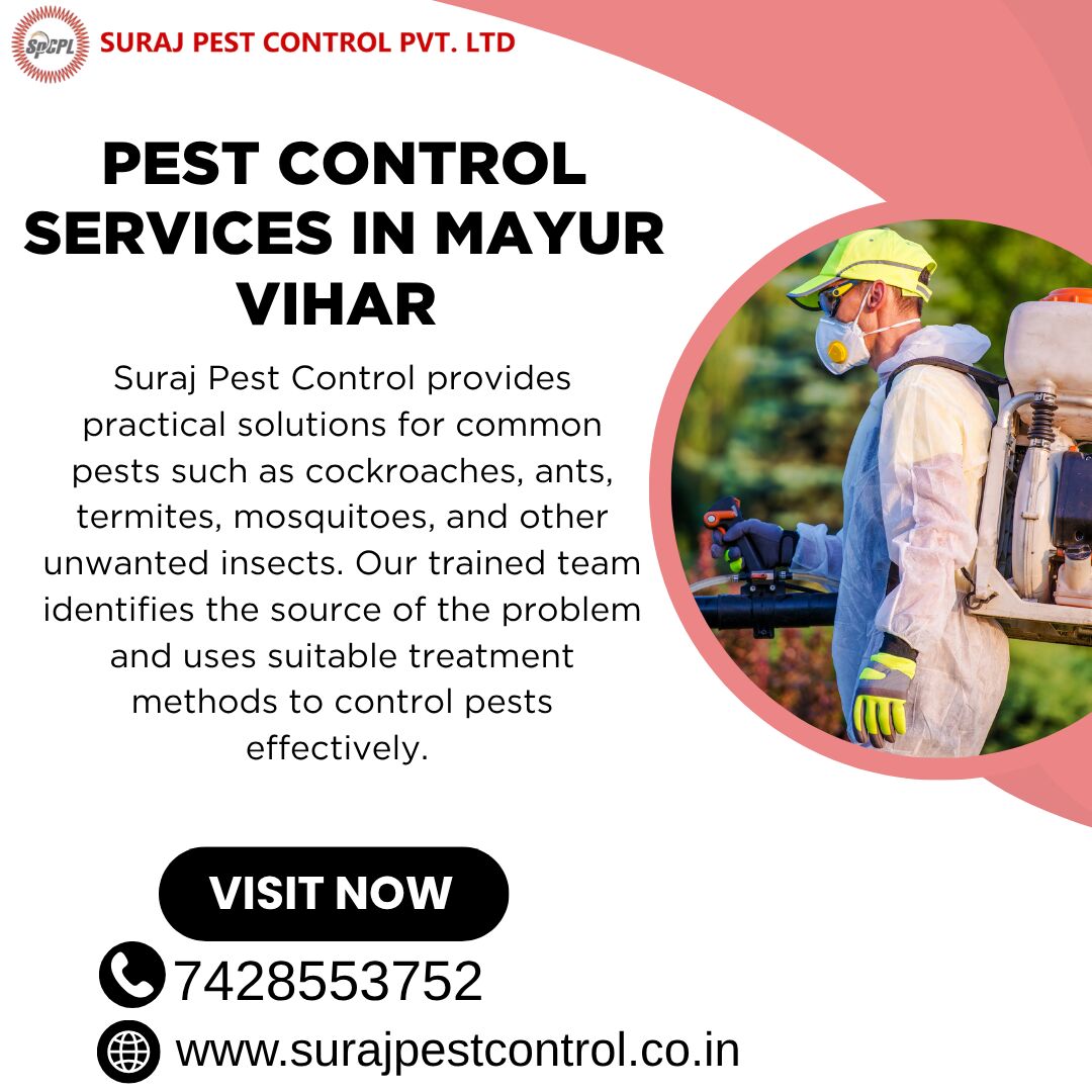 New Delhi, Pest Control, Why Choose Professional Pest Control Services In Mayur Vihar For Your Home