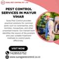 Why Choose Professional Pest Control Services In Mayur Vihar For Your Home