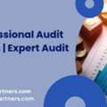 Hire Professional Audit Managers | Expert Audit Support