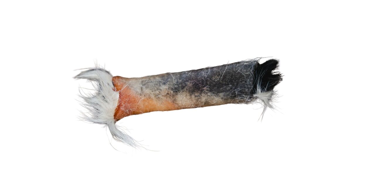 New York, Food, Healthy Choices With All Natural Dog Chews