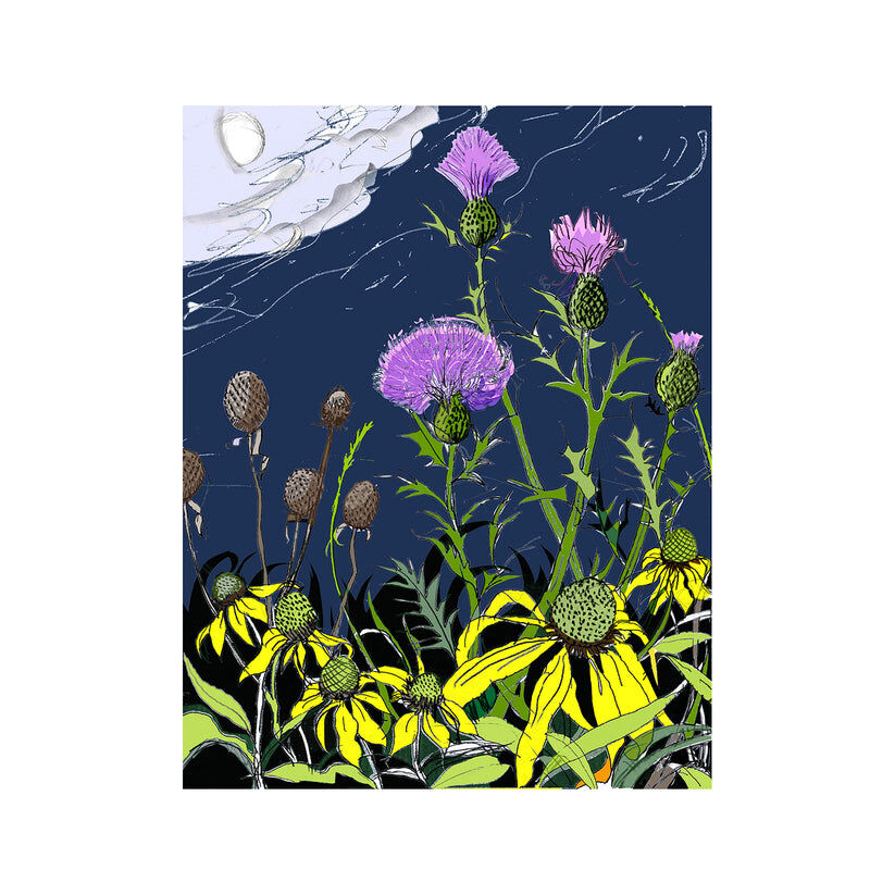 New York, Household Items, USD 10,  Send Stunning Digital Greeting Cards For Every Occasion Today