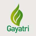 India's Trusted Psyllium Husk Manufacturer & Global Exporter | Gayatri Psyllium Industries