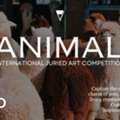 Animal Art Competition Open Now | Submit Before Deadline